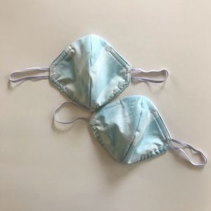 Aqua Plaid Face Masks (Pack of 2)